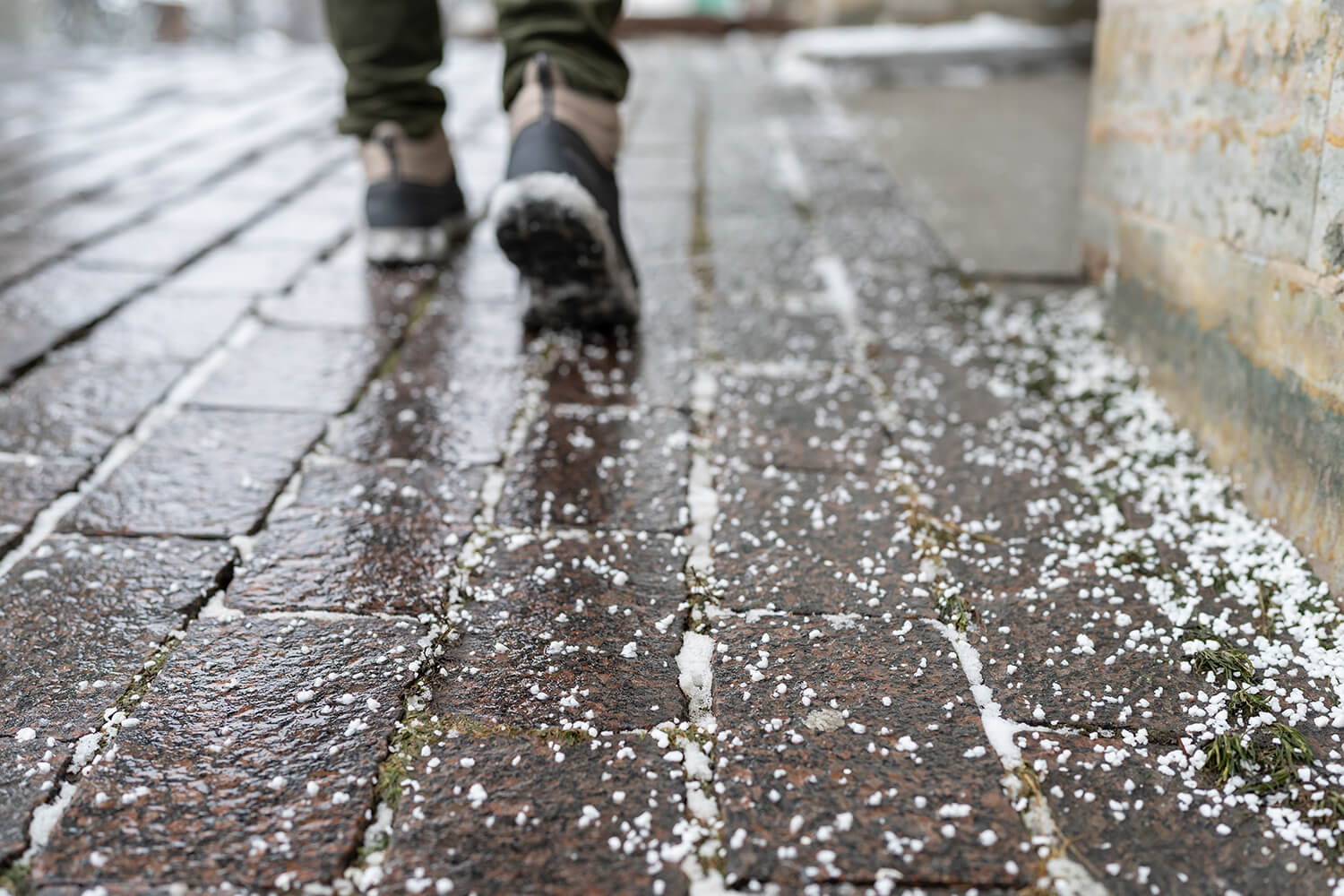 Fortov med saltlægning for at forhindre isdannelse og sikre sikre gangforhold.